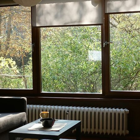Apartament Wendy House Sofia Zewnętrze zdjęcie