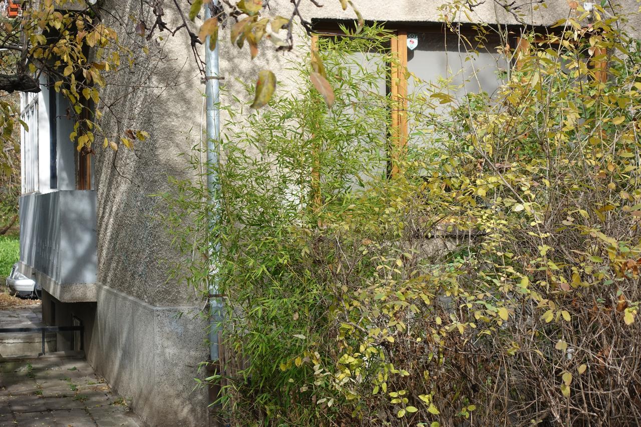 Apartament Wendy House Sofia Zewnętrze zdjęcie